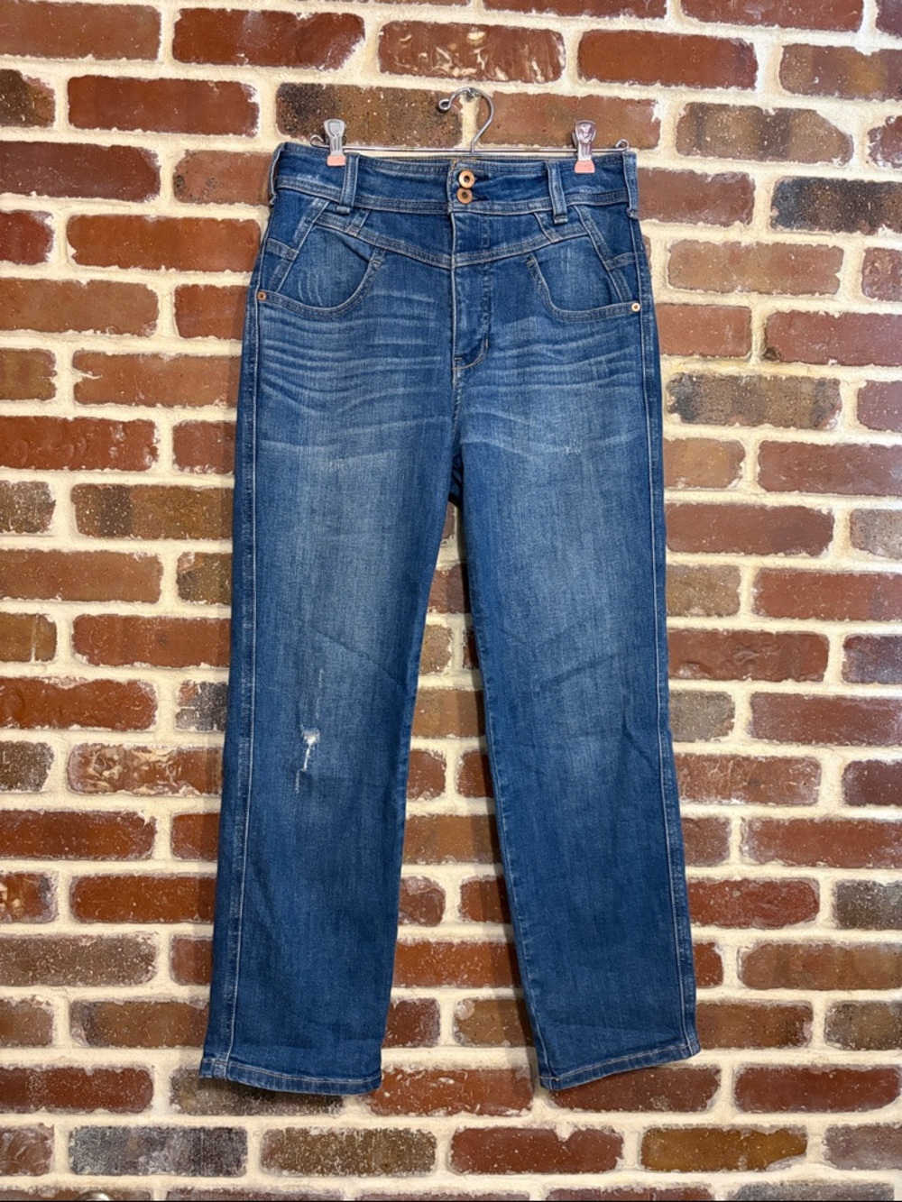 Pilcro and the Letterpress by Anthropologie Straight-Leg Blue Jeans size 27
